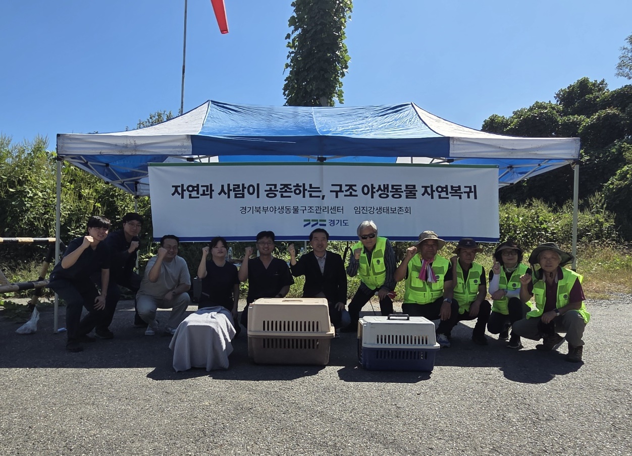 “다시 자연의 품으로” 경기도, 삵 등 어미 잃은 야생동물 16마리 방생
